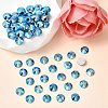 Preciosa® MAXIMA Crystal No Hotfix Flatback Stones Y-PRC-NSS16-60310-200-2