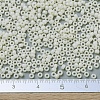 MIYUKI Round Rocailles Beads SEED-JP0008-RR0491-4