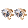 Alloy Silicone Clip-on Earrings EJEW-Z120-02G-01-4