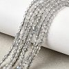 Natural Labradorite Beads Strands G-H336-A08-02-1