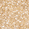Glass Seed Beads SEED-N007-01I-3