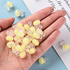 Transparent Acrylic Beads LS-TACR-S152-12C-SS2105-5