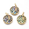 Natural Abalone Shell/Paua Shell Pendants BSHE-I014-01G-1