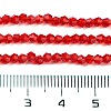 Imitation Austrian Crystal 5301 Bicone Beads GLAA-S026-2mm-11-3