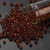 TOHO 6/0 Round Beads SEED-TR06-2154-1