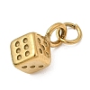 304 Stainless Steel Charms STAS-Z179-13G-2