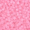 FGB Frosted Transparent Glass Seed Beads SEED-N013-04A-05-3