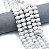 Natural Howlite Beads Strands G-P573-B02-01-1