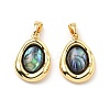 Brass Pave Natural Paua Shell Pendants KK-B129-08G-1