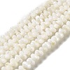 Natural Freshwater Shell Beads Strands BSHE-E026-17-2