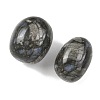 Natural Glaucophane Beads G-G348-01B-43-2