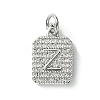 Rack Plating Brass Micro Pave Clear Cubic Zirconia Charms KK-G501-01Z-P-1