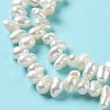 Natural Cultured Freshwater Pearl Beads Strands PEAR-E019-05-4