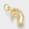 Brass Micro Pave Cubic Zirconia Charms ZIRC-Q018-049G-2