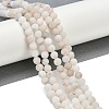 Natural Rutilated Quartz Beads Strands G-T106-326-4