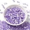 Glass Seed Beads SEED-H002-D-A815-2