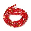 Transparent Glass Beads Strands EGLA-P061-04A-AB07-2