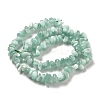 Natural Glass Beads Strands G-Q024-C02-01-3