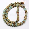 Rondelle Natural Aqua Terra Jasper Beads Strands G-N0128-49-8x5mm-2