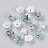 Frosted Transparent Acrylic Beads LS-X-OACR-N137-72L-2