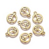 Tibetan Style Alloy Charms GLF11179Y-1