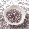 Glass Seed Beads SEED-H002-C-A044-2