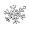 304 Stainless Steel Pendants STAS-G363-04P-2