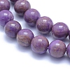 Natural Lepidolite/Purple Mica Stone Beads Strands G-L552H-09C-2