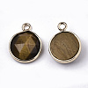 Natural Tiger Eye Charms G-N326-49D-2