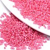 FGB 11/0 Grade A Glass Seed Beads X-SEED-S030-1144-1