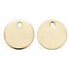 304 Stainless Steel Charms STAS-F174-06G-1