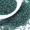 MIYUKI Delica Beads SEED-X0054-DB0607-1