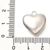 304 Stainless Steel Rhinestone Pendants STAS-M109-10P-02-3