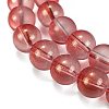 Frosted Transparent Glass Bead Strands GLAA-P065-10mm-06-4