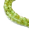 Natural Peridot Beads Strands LS-G-P457-B01-06-2