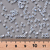 11/0 FGB Grade A Round Glass Seed Beads SEED-N001-B-0486-3