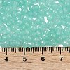 Transparent Colours Glass Seed Beads SEED-R001-01Q-4