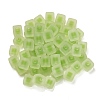 Frosted Acrylic European Beads OACR-G012-14G-3