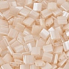 MIYUKI TILA Beads SEED-J020-TL2365-4