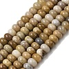 Natural Fossil Coral Beads Strands G-A280-A08-01-2
