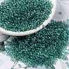 MIYUKI Round Rocailles Beads X-SEED-G008-RR2445-1