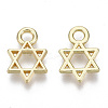 Alloy Charms X-PALLOY-S132-084-2