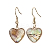 Natural Paua Shell Dangle Earrings EJEW-JE06274-04-2