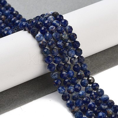 Natural Sodalite Beads Strands G-B088-C03-04-1