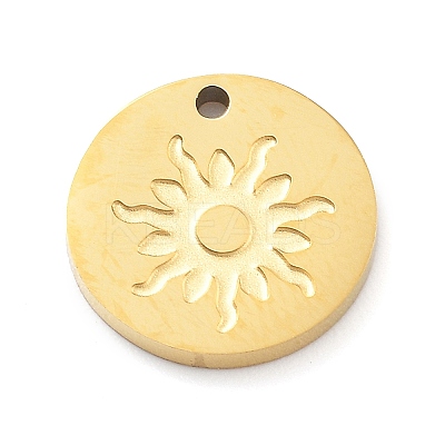 304 Stainless Steel Charms LS-STAS-I327-01G-02-1