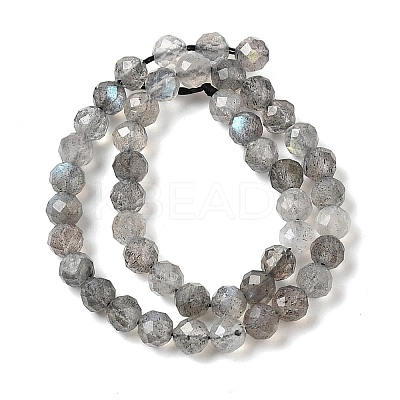 Natural Labradorite Beads Strands G-H336-A08-05-1