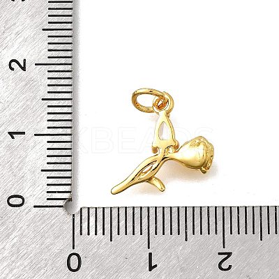 Brass Micro Pave Cubic Zirconia Pendants KK-Z102-02G-02-1
