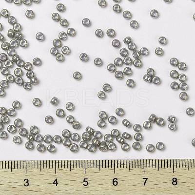 MIYUKI Round Rocailles Beads X-SEED-G008-RR1865-1