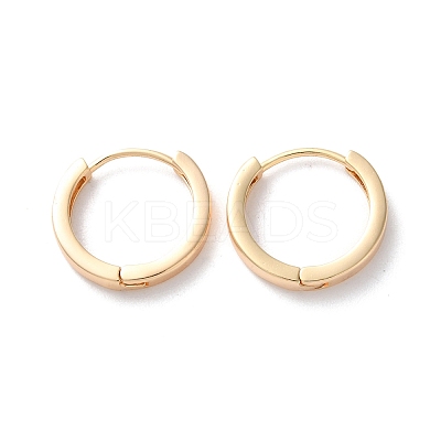 Rack Plating Brass Hoop Earrings EJEW-S241-13G-1