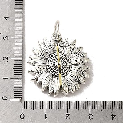 Tibetan Style Alloy Pendant FIND-A038-05AS-1